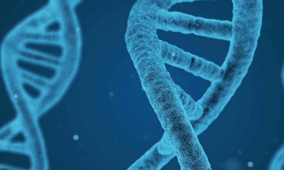 Discovery of Genetic Cause of a Form of Lupus - European Medical Journal