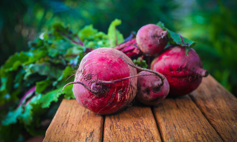 Beetroot Could Reduce Blood Pressure in Pregnant Women European Medical Journal