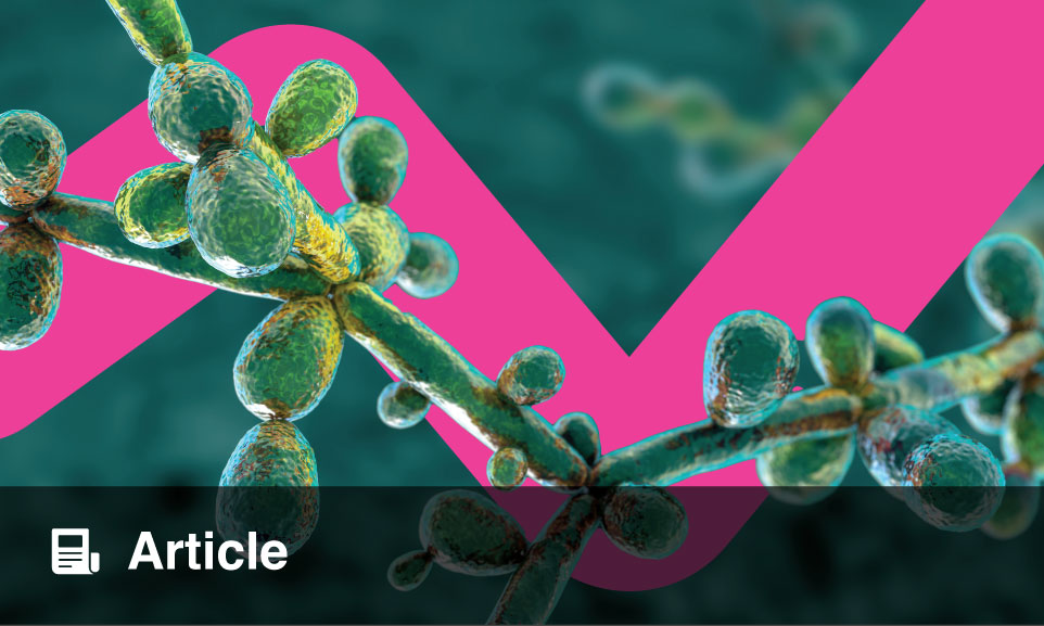 Molecular Identification And Antifungal Susceptibility Profiles Of Non Albicans Candida Species 