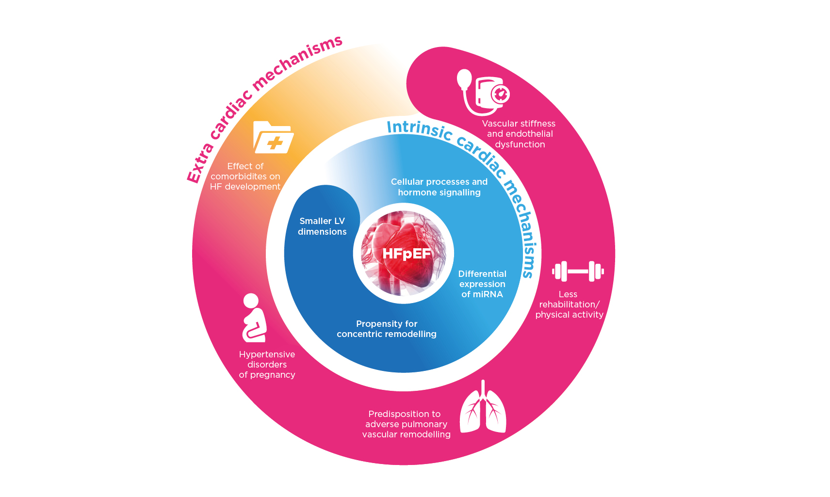 Sex Differences In Heart Failure With Preserved Ejection Fraction Therapy Emj