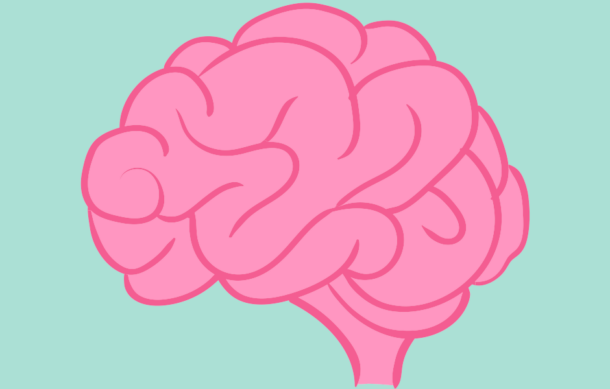 Picture of a pink illustrated brain on a mint green background