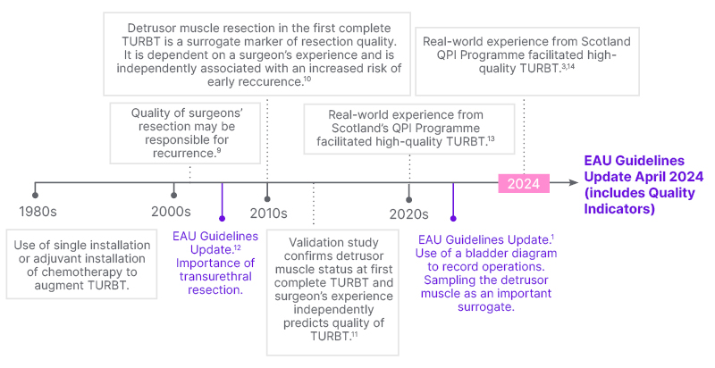 Figure 1 Timeline for evolution of the management of non-muscle invasive bladder cancer2