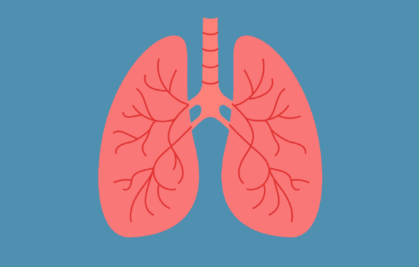 Lungs