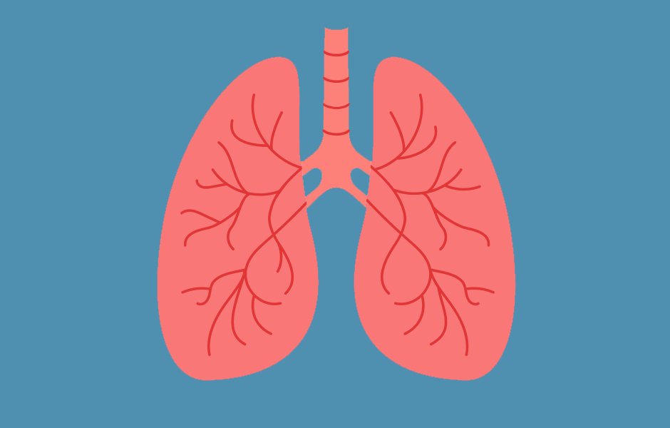 Lungs